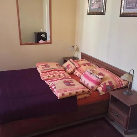 Arany Elefánt Panzió 3*