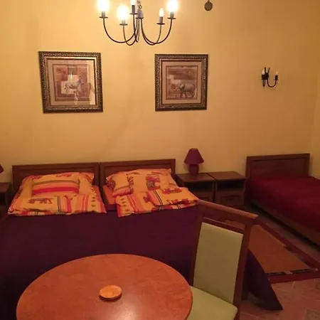 Arany Elefánt Panzió Casa de hóspedes 3*