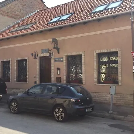 Casa de hóspedes Arany Elefánt Panzió Esztergom