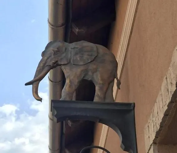 Arany Elefant Szallashely Esztergom